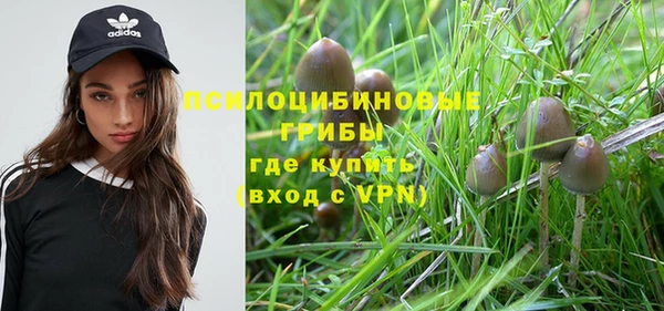 ALPHA PVP Каменногорск