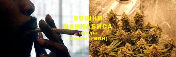 ALPHA PVP Каменногорск