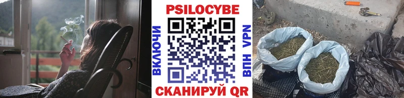 Галлюциногенные грибы Cubensis  Купить  Кирово-Чепецк 